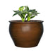 Archpot Asian Planter - Majestic Fountains