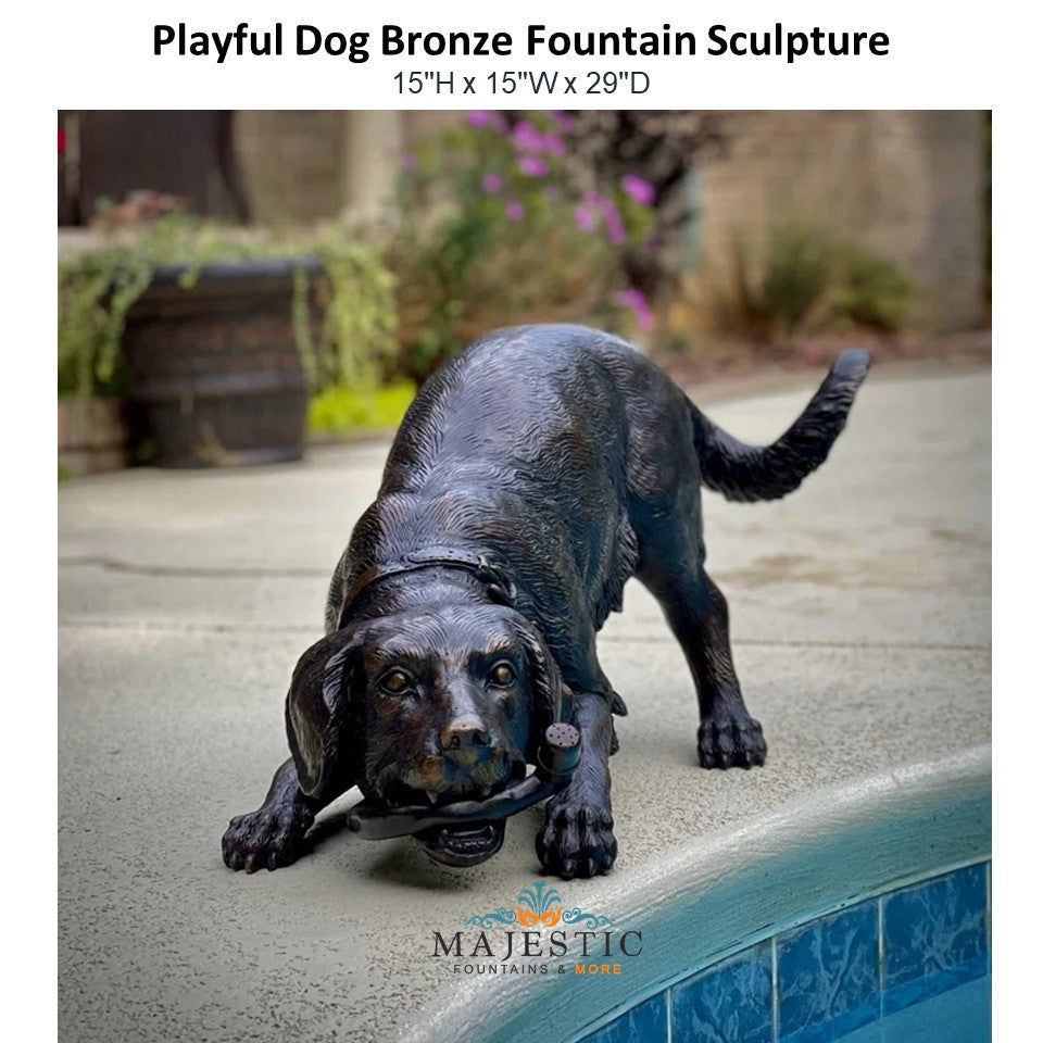 Dog fountain shop