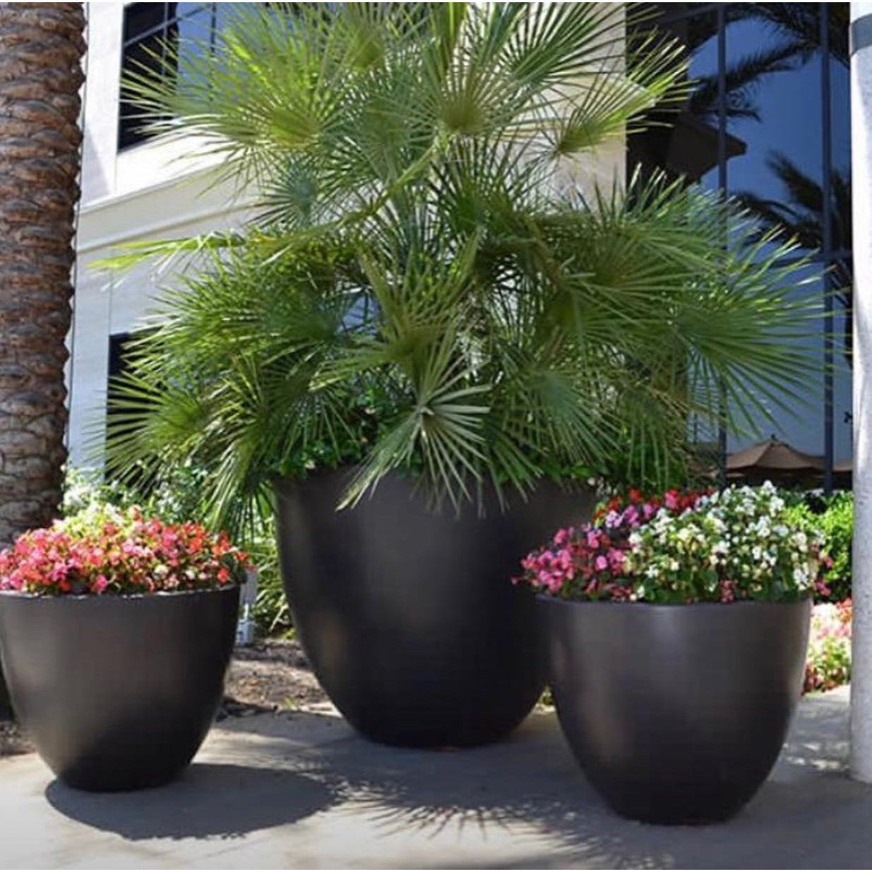 Big flower pots - big plants! - Greenspired