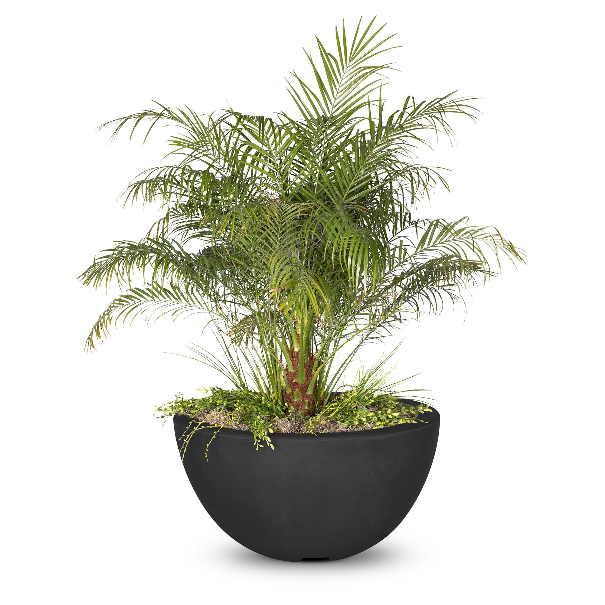 TOP Fires Luna Planter Bowl in GFRC Concrete by The Outdoor Plus - Majestic Fountains