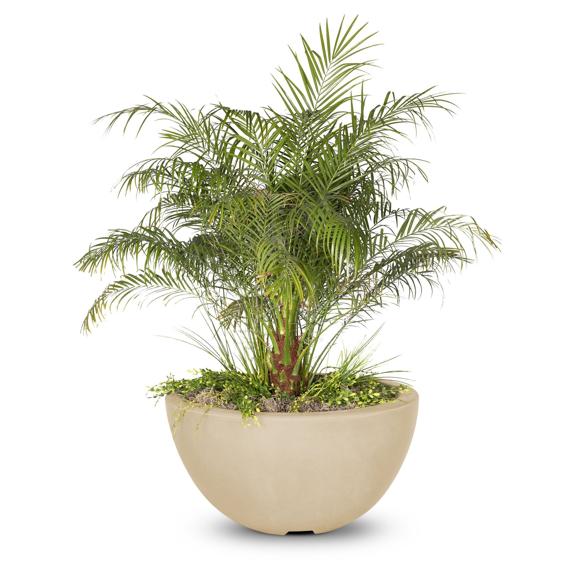 TOP Fires Luna Planter Bowl in GFRC Concrete by The Outdoor Plus - Majestic Fountains