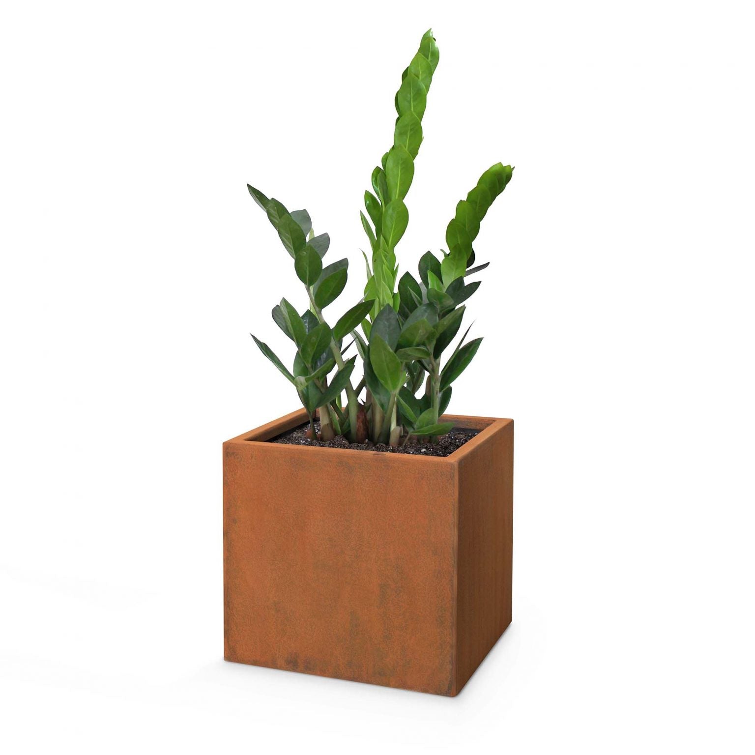 The Outdoor Plus Square Moderna Planter in Corten Steel