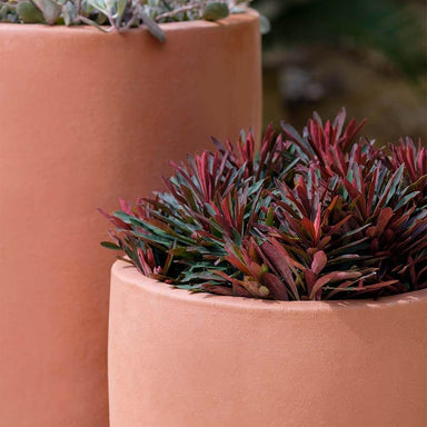 Rioja Terra Rosa Planters in Terra Cotta By Campania International - Majestic Fountains and More