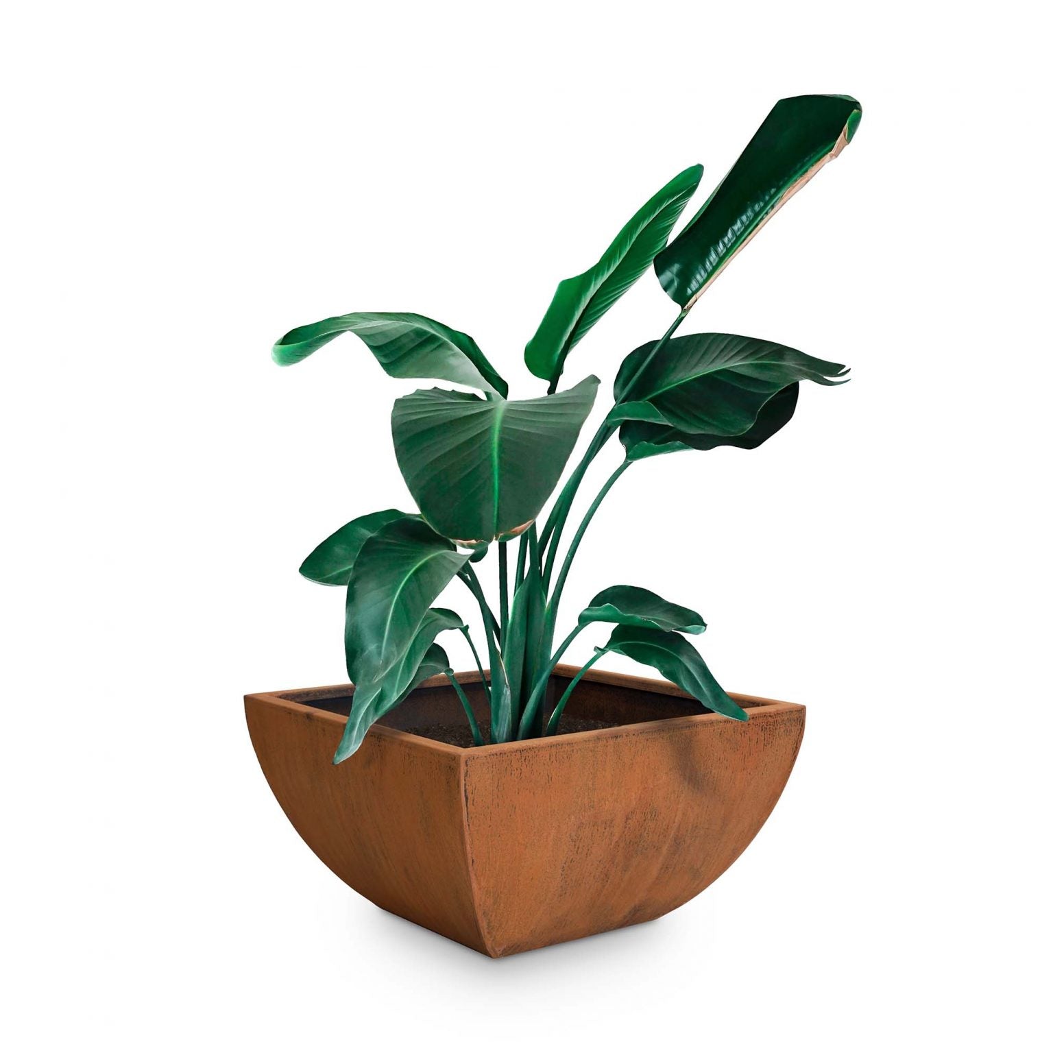 The Outdoor Plus Square Tuscon Planter in Corten Steel