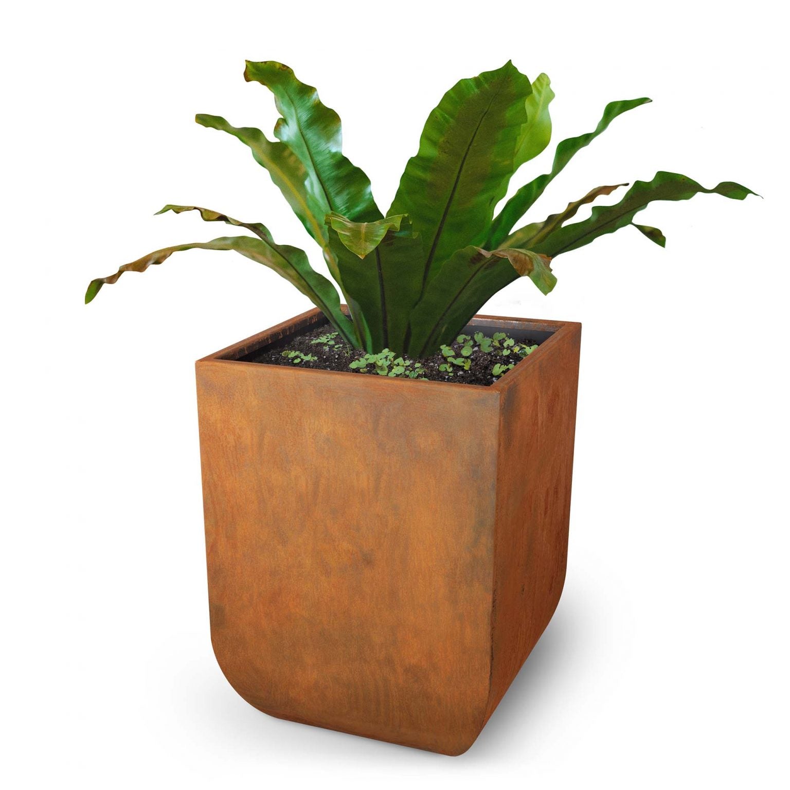 The Outdoor Plus Vertical Tuscon Planter in Corten Steel